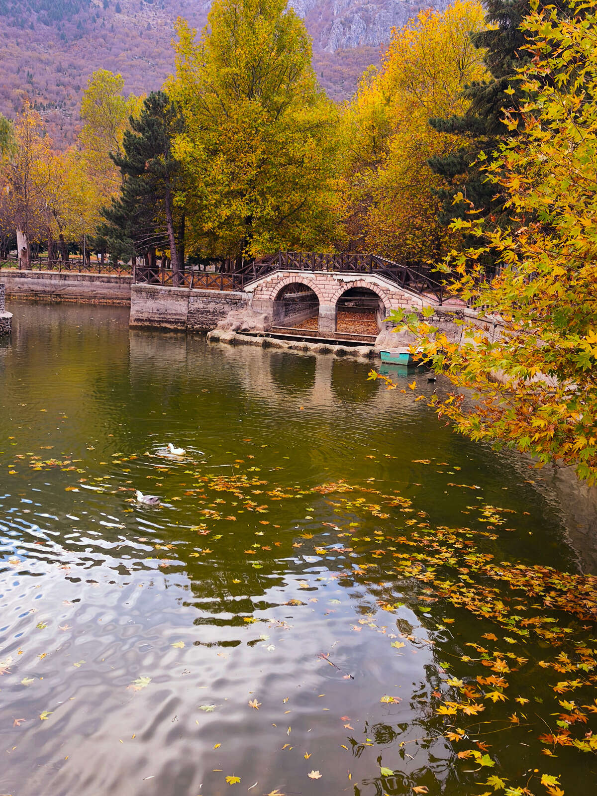 Konya’nın cennet köşesi sonbahar renkleriyle büyülüyor 28